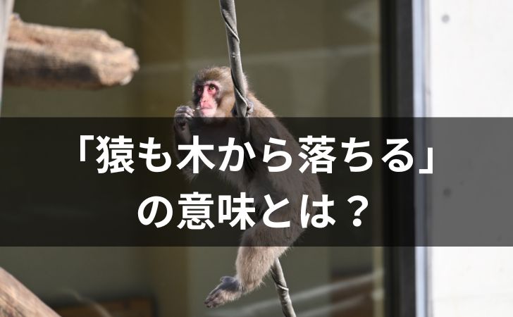 「猿も木から落ちるの意味・使い方は？例文・類義語・語源についても解説」のアイキャッチ画像