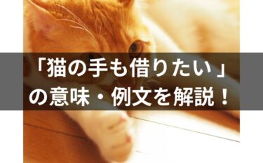 「猫の手も借りたい 」とは？意味・例文など小学生にも分り易く解説！