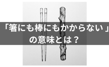 「箸にも棒にもかからない 」の意味・例文・類義語・由来を解説！